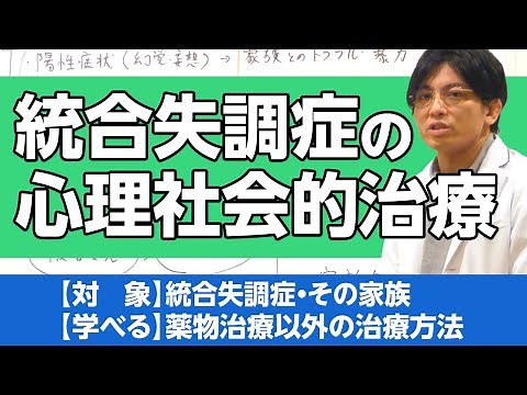 Explaining the psychosocial treatment of schizophrenia #WasedaMentalClinic #psychiatrist #MasudaY...