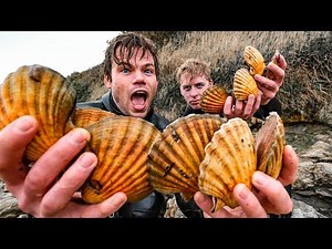 SCALLOP DIVING - Catch & Cook on the South Coast of England for a 3 course dinner!