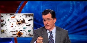 Stephen Colbert Apologizes to Gays