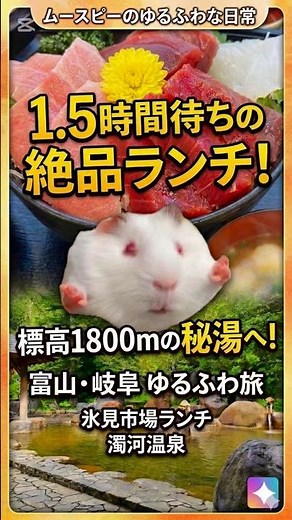 【1.5時間待ち】並んだ結果…絶品の天然ぶりと天空の秘湯が最高すぎた♨️ #富山観光 #vlog
