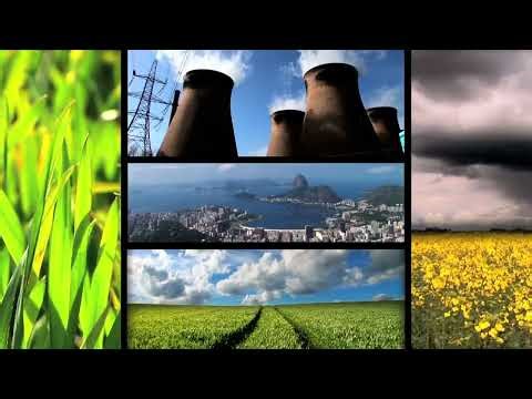 What is Bioenergy Engineering? Exploring Renewable Energy Solutions (3 Minutes)