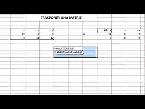 Trasponer una matriz en excel