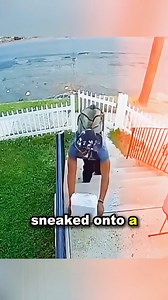 Homeowner Outsmarts Package Thief – Watch What Happened! #camera #stories #dailynews #usa #us #police | Best Show LosAngeles
