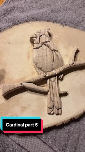 Eeekk I’m so excited for this cardinal piece! My third intarsia ever and I’m lovinggg it! Stayed tuned for the next video where I do my own spin on this! #woodworking #woodworkingprojects #woodworker #woodworker #woodworkingskills
