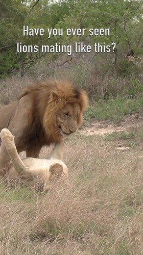 7.5K views · 17 reactions | @planetexploregram | Explore Earth | Facebook