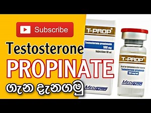 What is Testosterone PROPINATE ?|test prop ගැන හරියටම දැනගමුද:special Ester වෙන්නෙ අැයි(සිංහලෙන්)