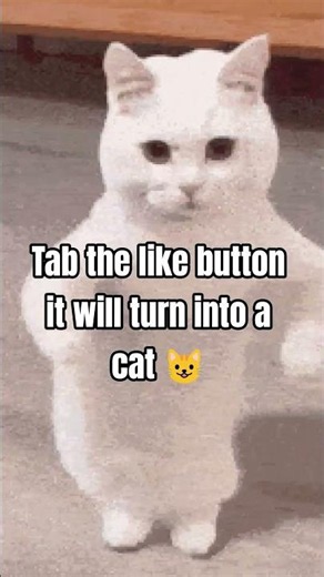 tab the like button it will turn into a cat#memes #cat #funny #ytshorts