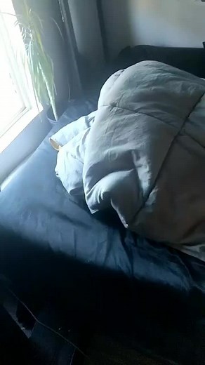 Understanding Sleep Eating: Causes and Insights