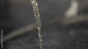 Pure biodiesel fluid flows from the hose into the reservoir.