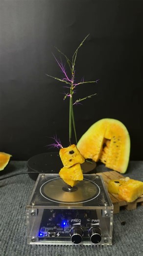 Tesla coil + watermelon + plants