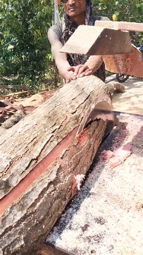 operator skills in splitting wood with a serkel saw