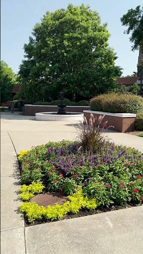 Summer on campus #belmontuniversity #nashville #collegelife #campuslife #campus