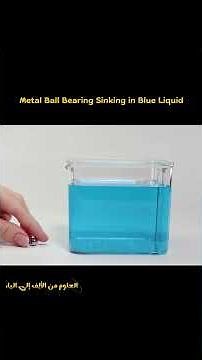 Float or Sink? The Science Experiment Everyone Loves