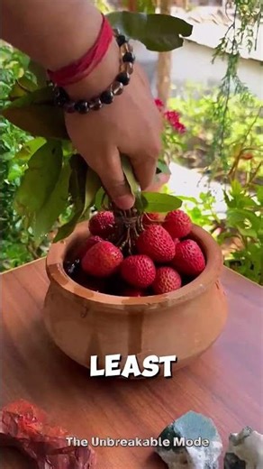 The World’s Rarest to Most Common Fruits 🤯 You Won’t Believe #7!