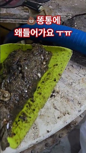 지하실정화조청소 페키지정화조청소 1년1회이상 청소권장합니다 #정화조청소 #정화조역류 #집수정청소