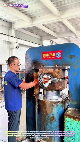 Watch a Hydraulic Press Swage a Steel Wire Rope Socket with a Heart-Shaped Thimble! ⚙️🔗↓