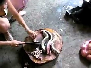 Cutting Snakes Alive