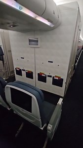 Explaining the single screen in the bulkhead seats of Delta basic economy section of an Airbus A330. #singlescreen #basiceconomy #delta #airbusa330 #displays #seats #economy #airbus | Captain Z Travels