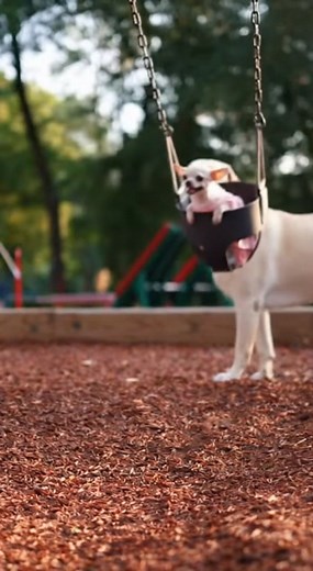 Mini Madness on Reels