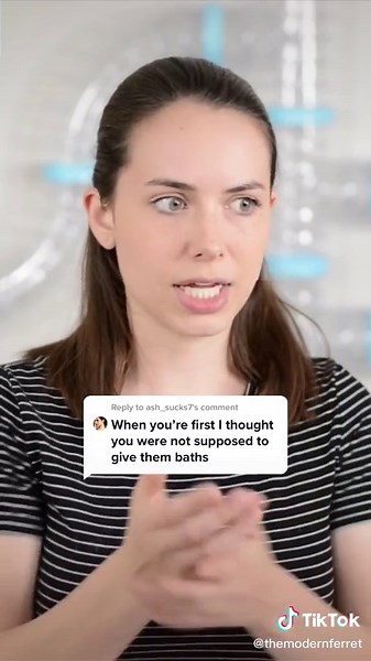 Ferret Bathing Guide: Tips and Techniques