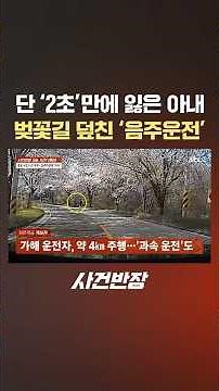 단 '2초' 만에 잃은 아내 벚꽃길 덮친 '음주운전' #제보는 #사건반장 #shorts #음주운전 #과속 #사고 #블랙박스