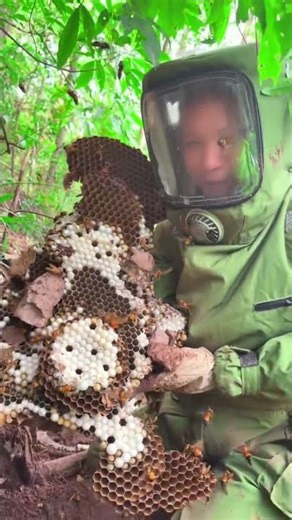 #killerhive #hornetnestremoval