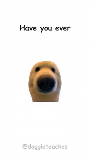 Doggie Explains How to Prank Your Friends Swap the sugar with salt — breakfast chaos unlocked. 🐾😏 Put tape over the bottom of their mouse sensor. Change their phone language to something random (bonus points for Klingon). Fill their shampoo with glitter — they’ll sparkle for days. And remember — the best prank ends with everyone laughing… even the victim. #dogs #pranks #funny #doggieteaches 🐶🎭 | Doggieteaches