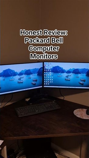 Dual Computer Monitor Work From Home Or Office Packard Bell