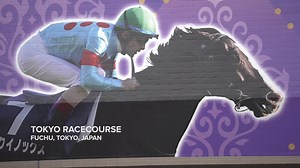 3.2K views · 64 reactions | Behind the scenes in Japan  Jockey Christophe Lemaire sets his sights on #BC24 with strong hopefuls heading to Del Mar. Produced with FanDuel | Breeders' Cup World Championships | Facebook