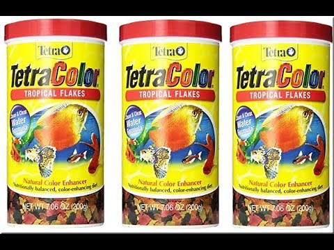 Tetra color Tropical flake Fish Food Review