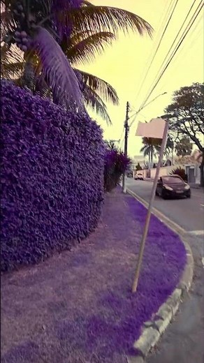 How it feels to live in morioh #jojo #jojopart4 #jojosbizzareadventure #morioh