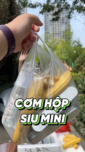 Cơm hộp siu mini cute | Tạp Hoá Mei Mei