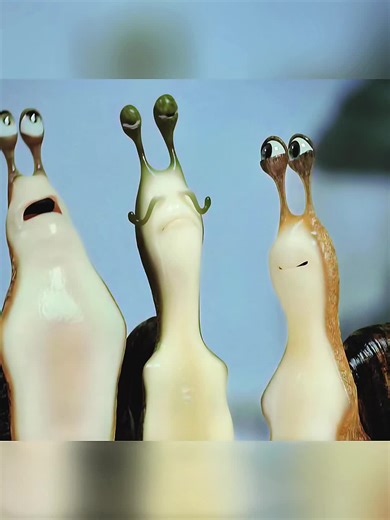 The Harrowing Escape of a Snail in the Kitchen