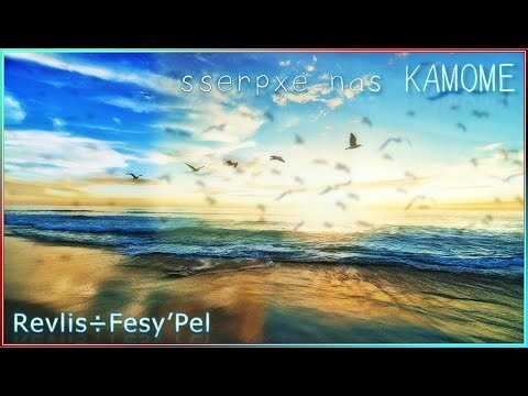 【Original】 sserpxe nas KAMOME [ChainBeeT]