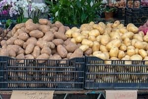 Yukon Gold Potato vs Russet Potato: What’s The Difference?