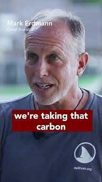 Overfishing affecting the climate