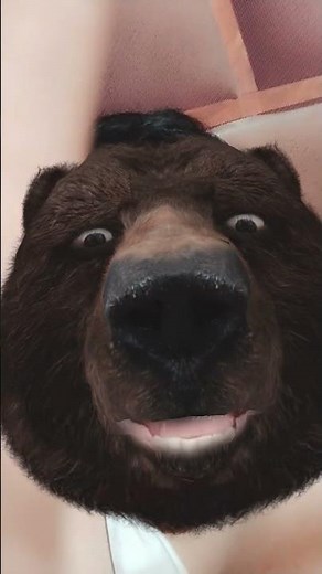 Bear sound effect 🐻🐨 #bear #bears #bhalu #bhalo #animals #soundeffects #wildlife #funnymemesounds 🐻🐻