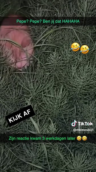 Memes en de Rimpel van Pepper