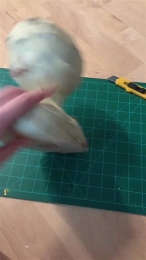 Creating a Paper Mache Sculpture of my Cat Brandy