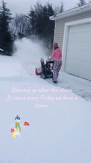 Battling Winter Storms with a Honda Snowblower