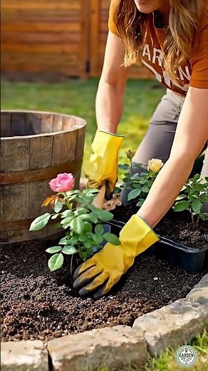 Transform Your Garden with a Beautiful Flower Bed & Bird Bath 🐦🌼#DIYGarden #FlowerBed #BirdBath