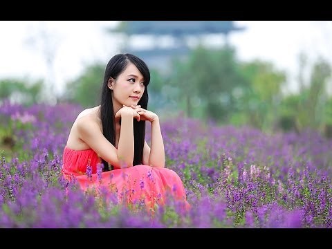 懷春曲(いとしあの星)-張蓉蓉 {歌詞} 輕快台語 HD高畫質