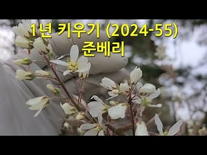 One-year growing (2024-55) Juneberry. This is how Juneberry changes over the course of a year.