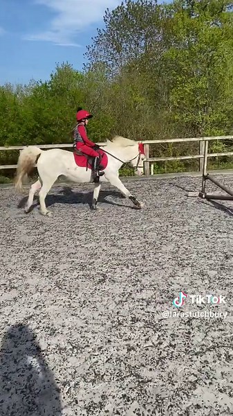 Incredible First 80cm Jump by Sienna and Charlie