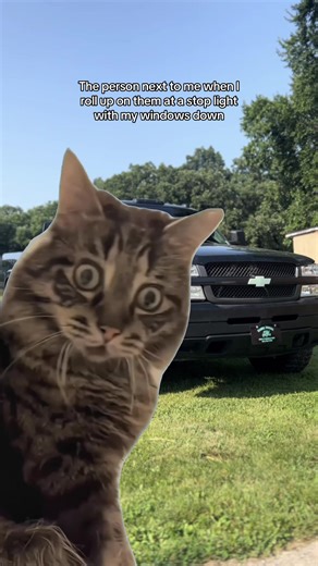 T-swizzle (@tswizzle6.6)’s videos with Dethrone - Live - Bad Omens