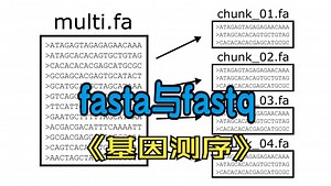 2.10 从0学测序 fasta与fastq生物信息数据存储格式