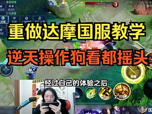 重做达摩国服教学，逆天操作狗看都摇头