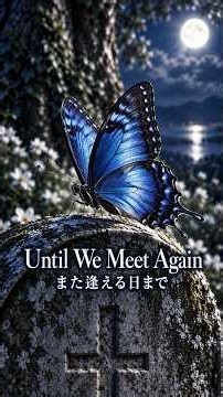 Until We Meet Again｜また逢える日まで