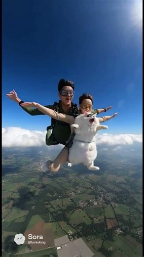 스카이다이빙 하는 남녀/men and women skydiving