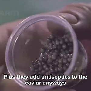 757K views · 10K reactions | There’s a surprising reason some caviar so expensive. #RealReview with Cassie King | Direct Action Everywhere - DxE | Facebook